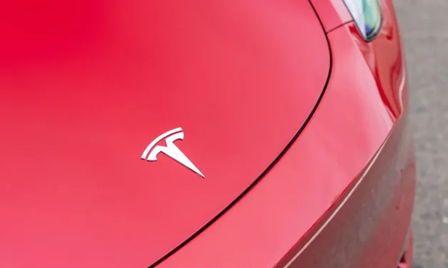 What’s the difference between the Tesla Model 3 and Model Y?